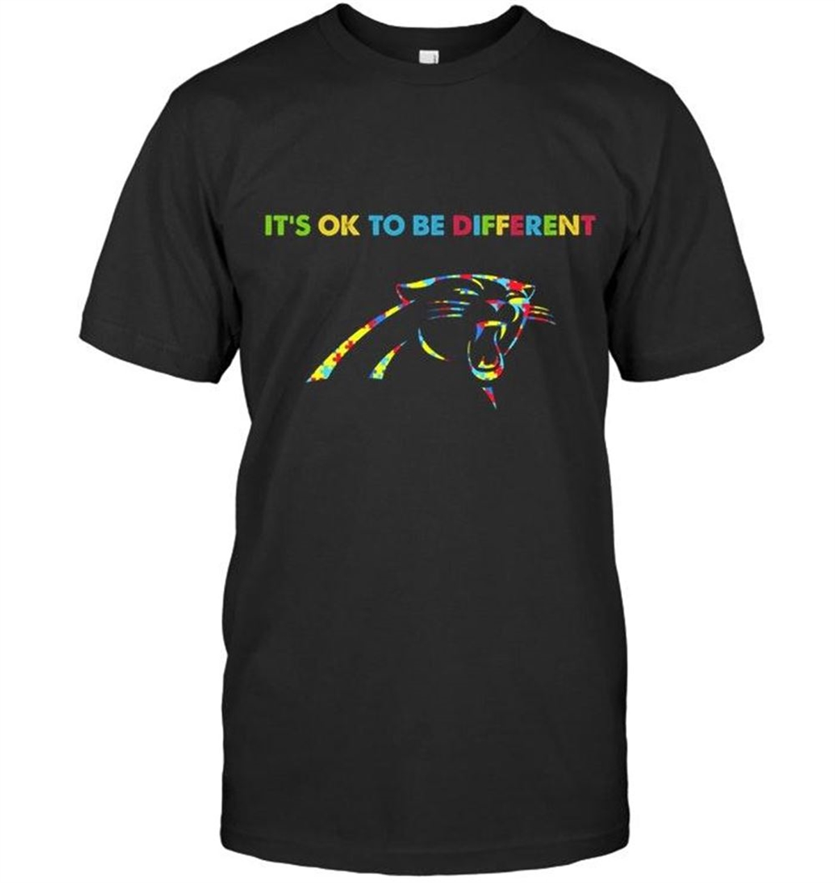 Carolina Football Team Autism Its Okie To Be Different T Shirt
